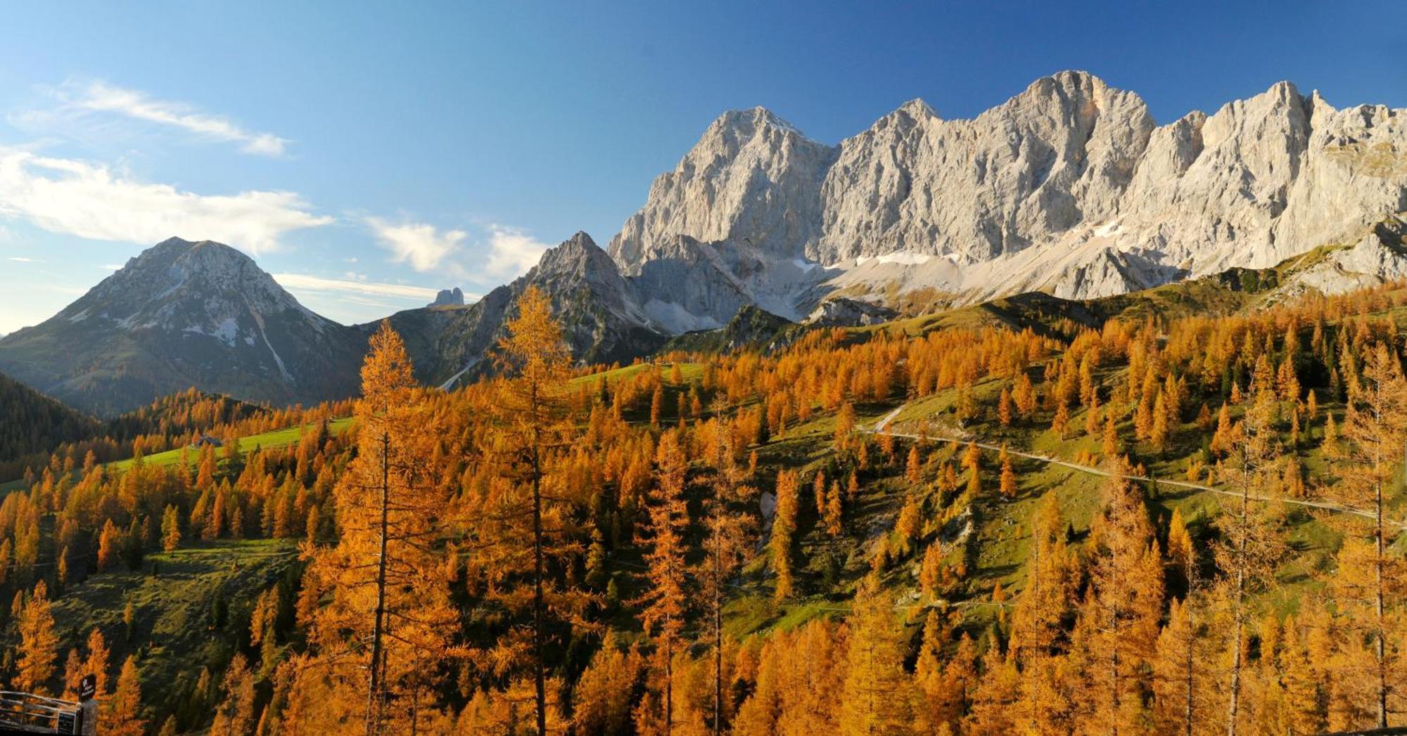 Naturchalet Hoeflehner - Heimgefuehl & Ruhelage An Loipe & Wanderweg ラムサウ・アム・ダッハシュタイン エクステリア 写真